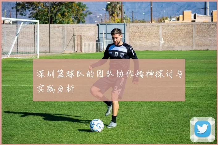 深圳篮球队的团队协作精神探讨与实践分析