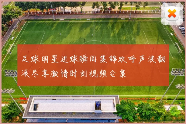 足球明星进球瞬间集锦欢呼声浪翻滚尽享激情时刻视频合集