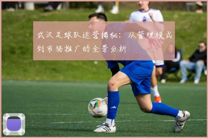 武汉足球队运营揭秘：从管理模式到市场推广的全景分析