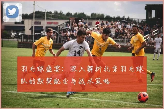 羽毛球盛宴：深入解析北京羽毛球队的默契配合与战术策略