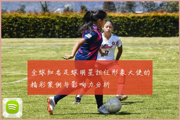 全球知名足球明星担任形象大使的精彩案例与影响力分析