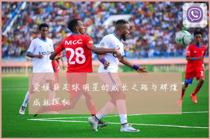 爱媛县足球明星的成长之路与辉煌成就探秘