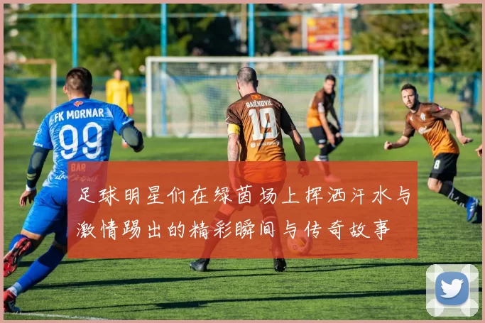 足球明星们在绿茵场上挥洒汗水与激情踢出的精彩瞬间与传奇故事