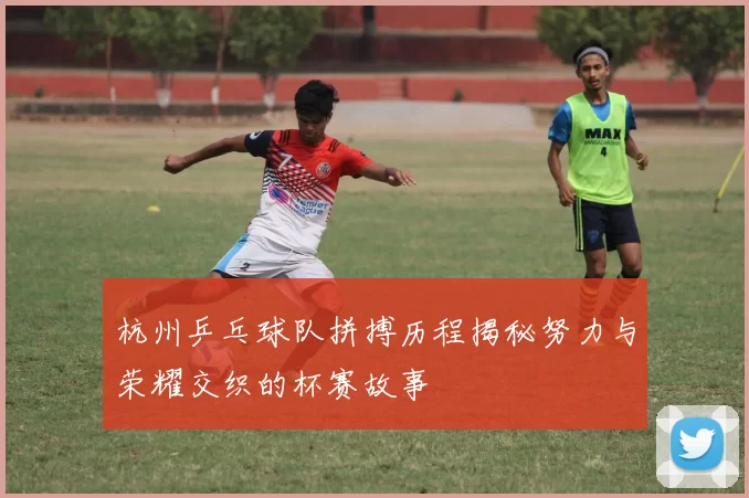 杭州乒乓球队拼搏历程揭秘努力与荣耀交织的杯赛故事