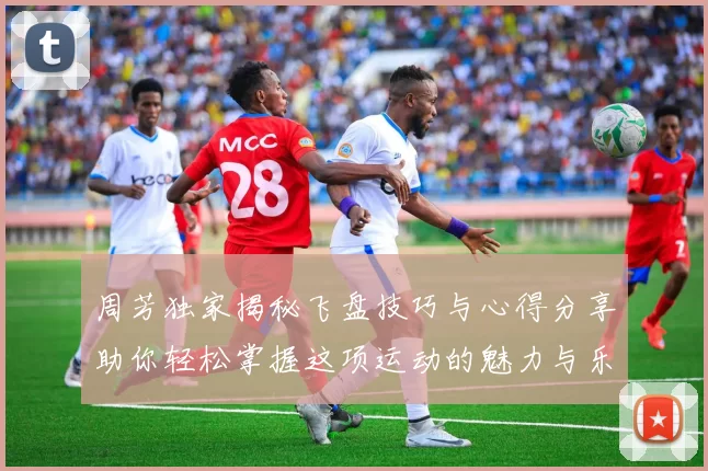 周芳独家揭秘飞盘技巧与心得分享助你轻松掌握这项运动的魅力与乐趣