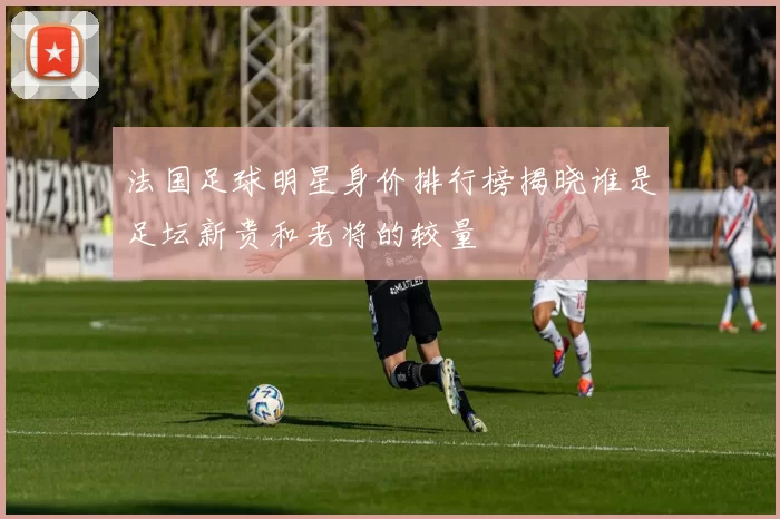 法国足球明星身价排行榜揭晓谁是足坛新贵和老将的较量