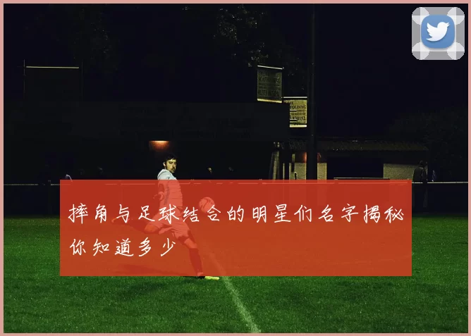 摔角与足球结合的明星们名字揭秘你知道多少