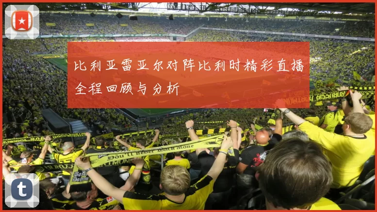 比利亚雷亚尔对阵比利时精彩直播全程回顾与分析