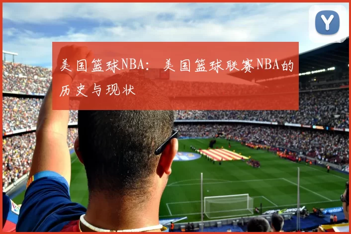 美国篮球NBA：美国篮球联赛NBA的历史与现状