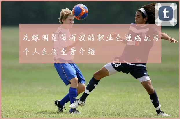 足球明星黄海波的职业生涯成就与个人生活全景介绍