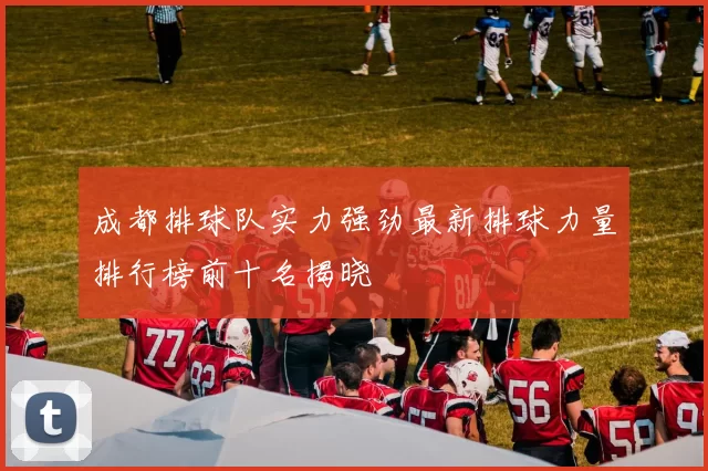 成都排球队实力强劲最新排球力量排行榜前十名揭晓