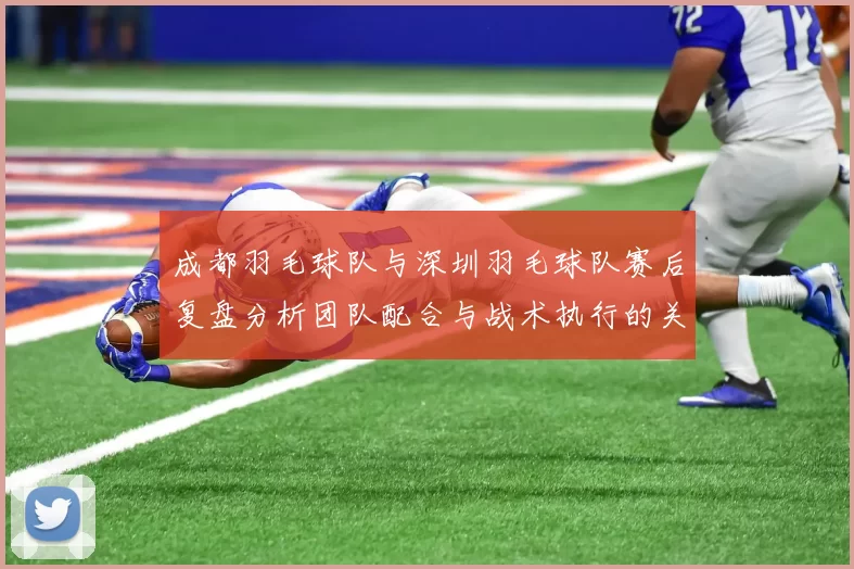 成都羽毛球队与深圳羽毛球队赛后复盘分析团队配合与战术执行的关键要素