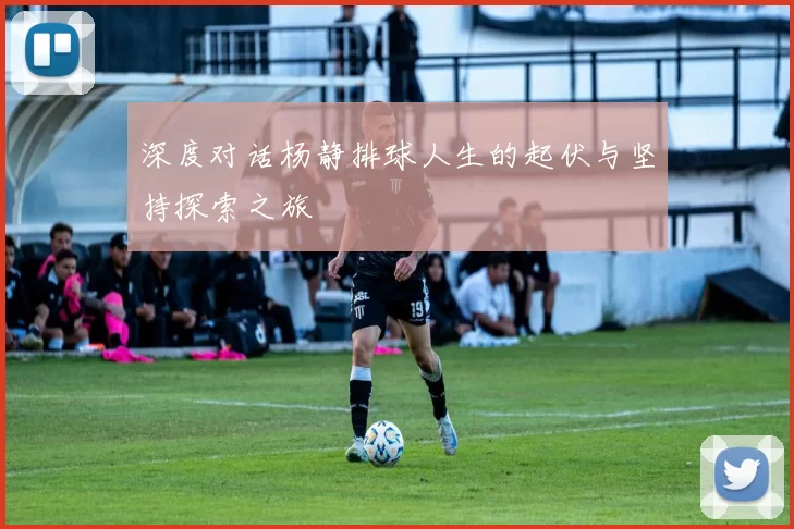深度对话杨静排球人生的起伏与坚持探索之旅