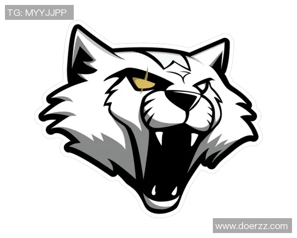 CSGO战术解析：深入剖析LNG战队的进攻体系与策略运用